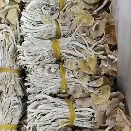 江西抚州广昌县广昌县塘坊农产品 - 一亩田