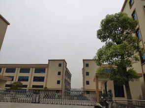挤出形氟硅橡胶 高回弹氟硅橡胶 高抗撕氟硅橡胶