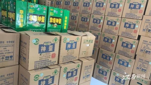 抚州东乡区 严守农产品质量安全防线